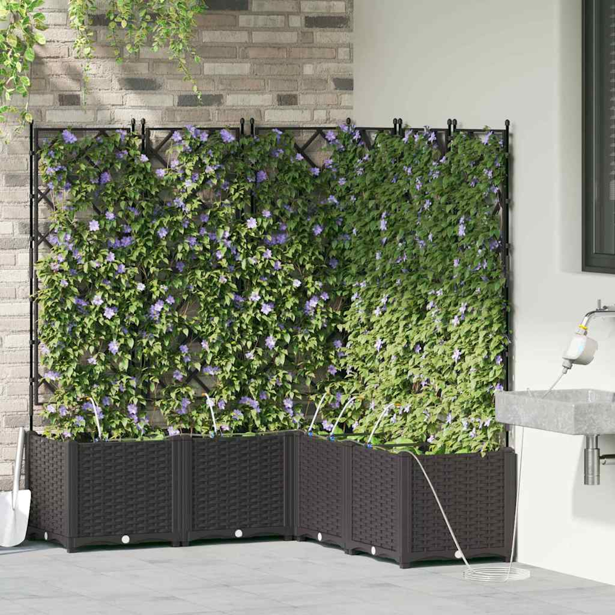 Una fioriera a forma di L con piante rampicanti e fiori viola. Sullo sfondo un muro di mattoni e un lavandino a destra.