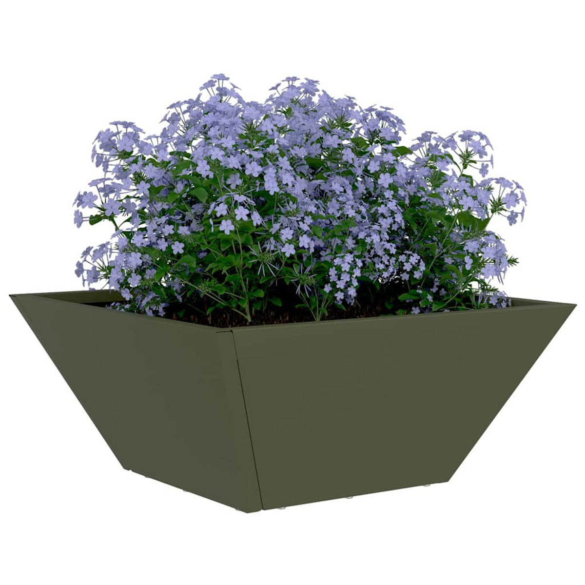 Una fioriera quadrata verde oliva con fiori azzurri. I fiori sono raggruppati, con foglie verdi. Sfondo bianco.