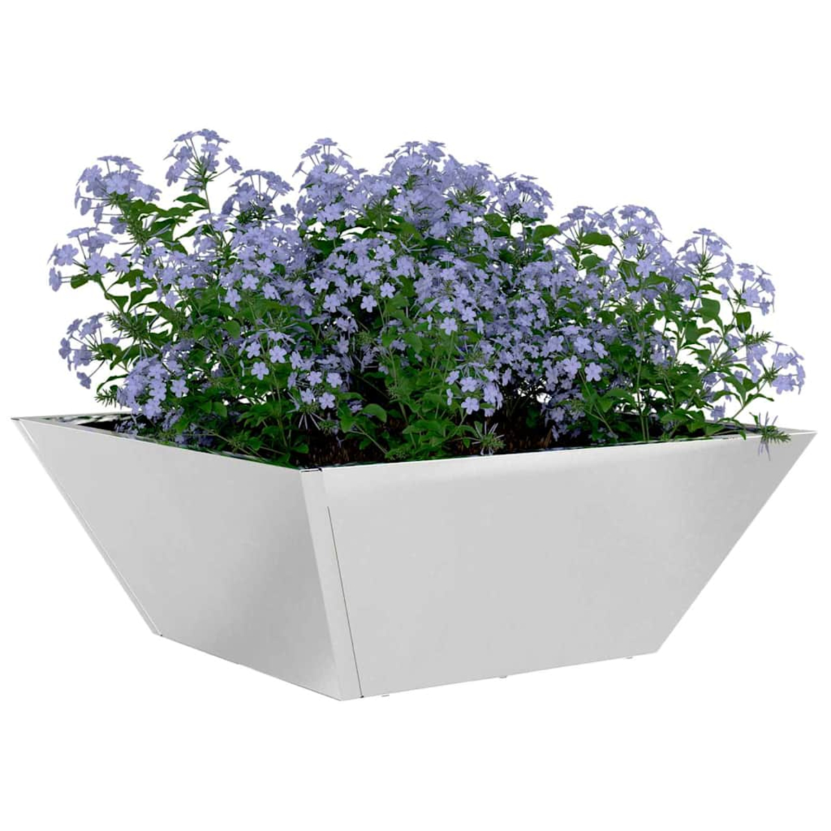 Una fioriera bianca e angolare piena di piante verdi e grappoli di piccoli fiori viola chiaro. Lo sfondo è bianco.