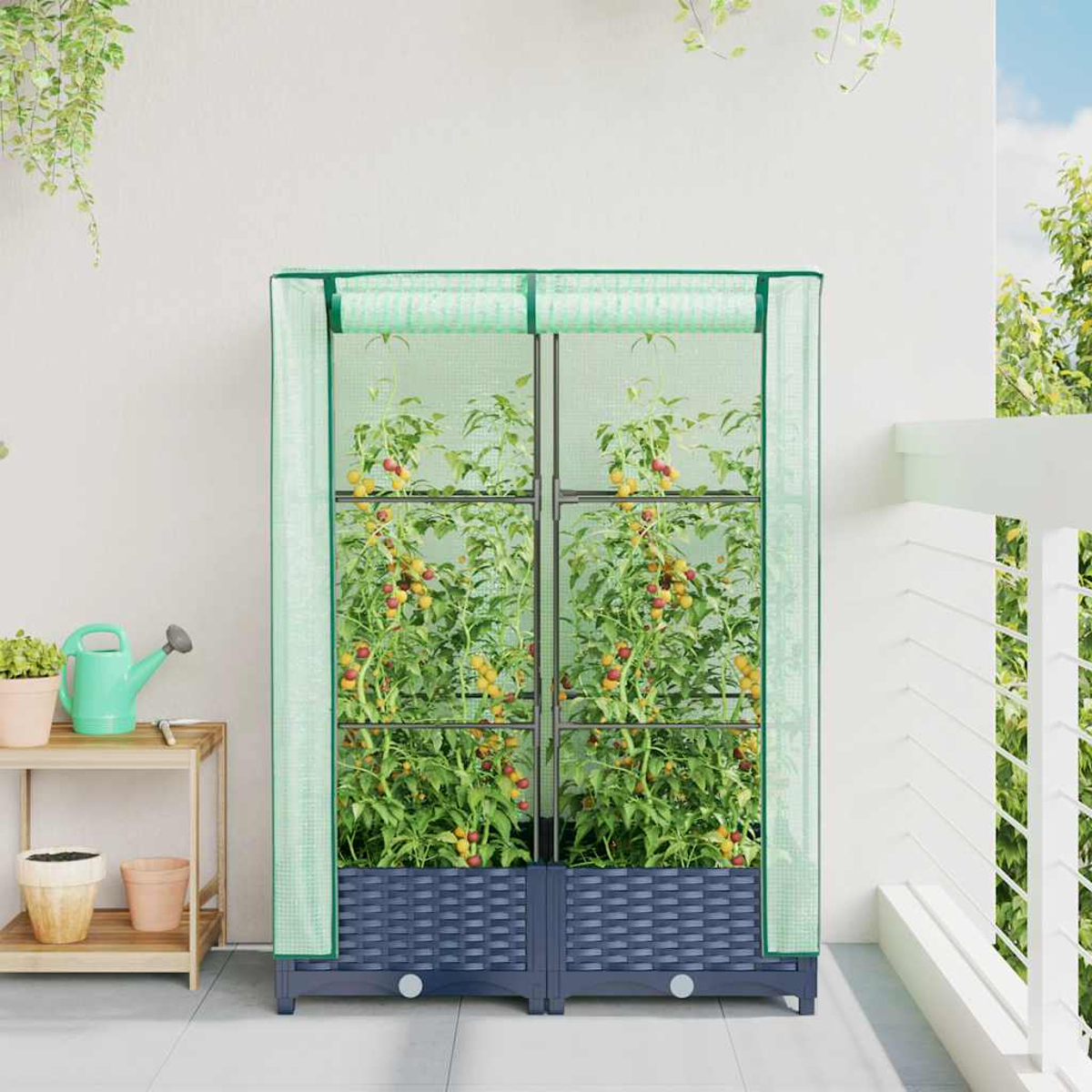 Una serra con piante di pomodoro. Ha un telaio e una rete verdi, con una base blu. All'interno ci sono piante con pomodori. Un balcone è sulla destra.