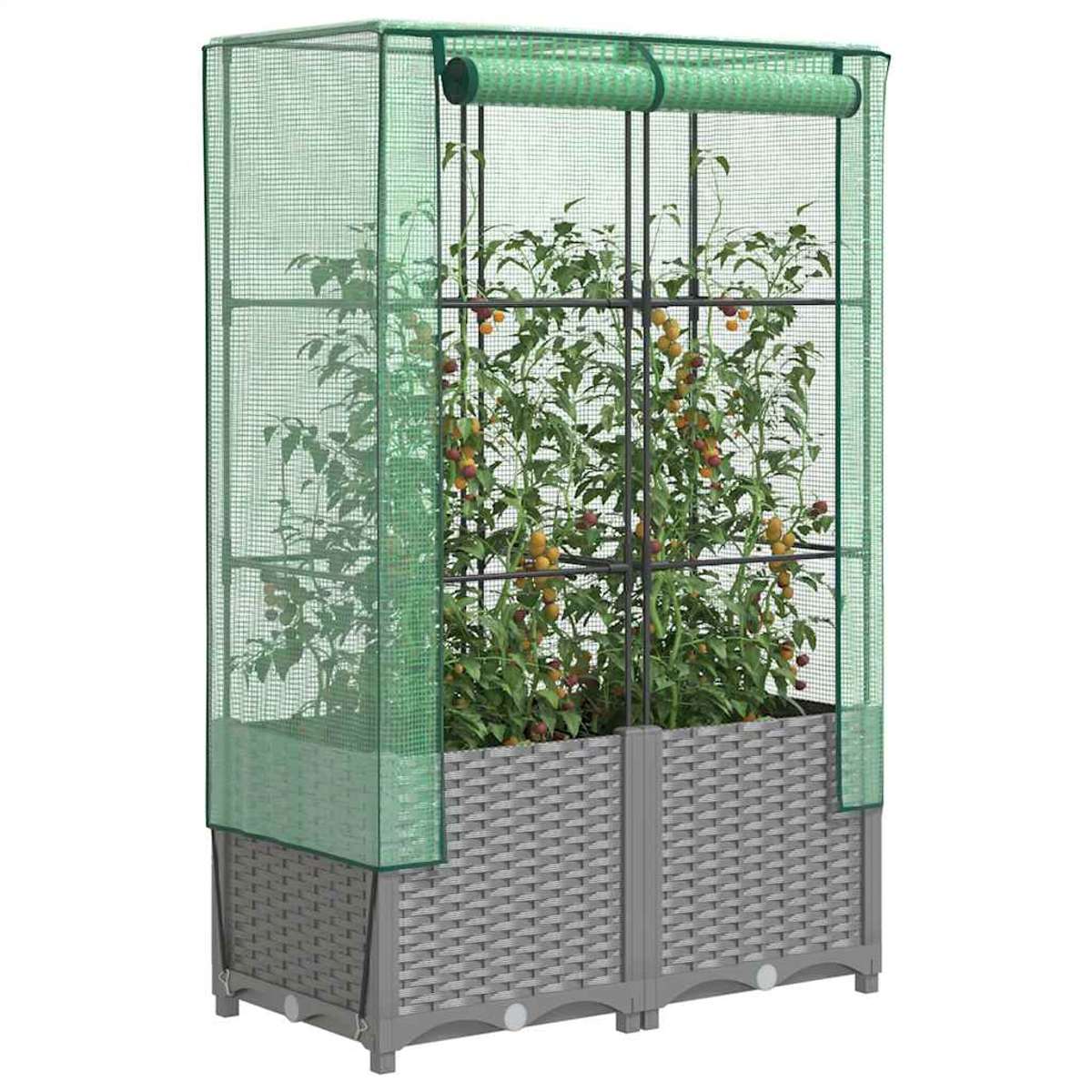 Una piccola serra con piante di pomodoro. Il telaio è grigio, la copertura è verde. I pomodori sono gialli e rossi.