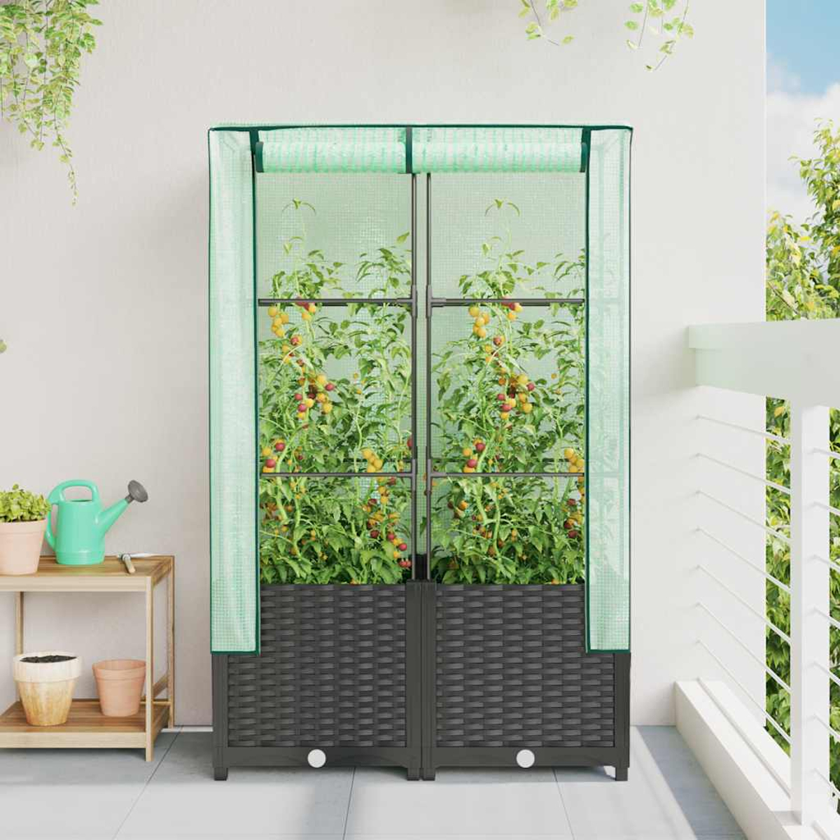 Una serra con piante di pomodori. La struttura è nera e verde, con piante all'interno e un balcone a destra.