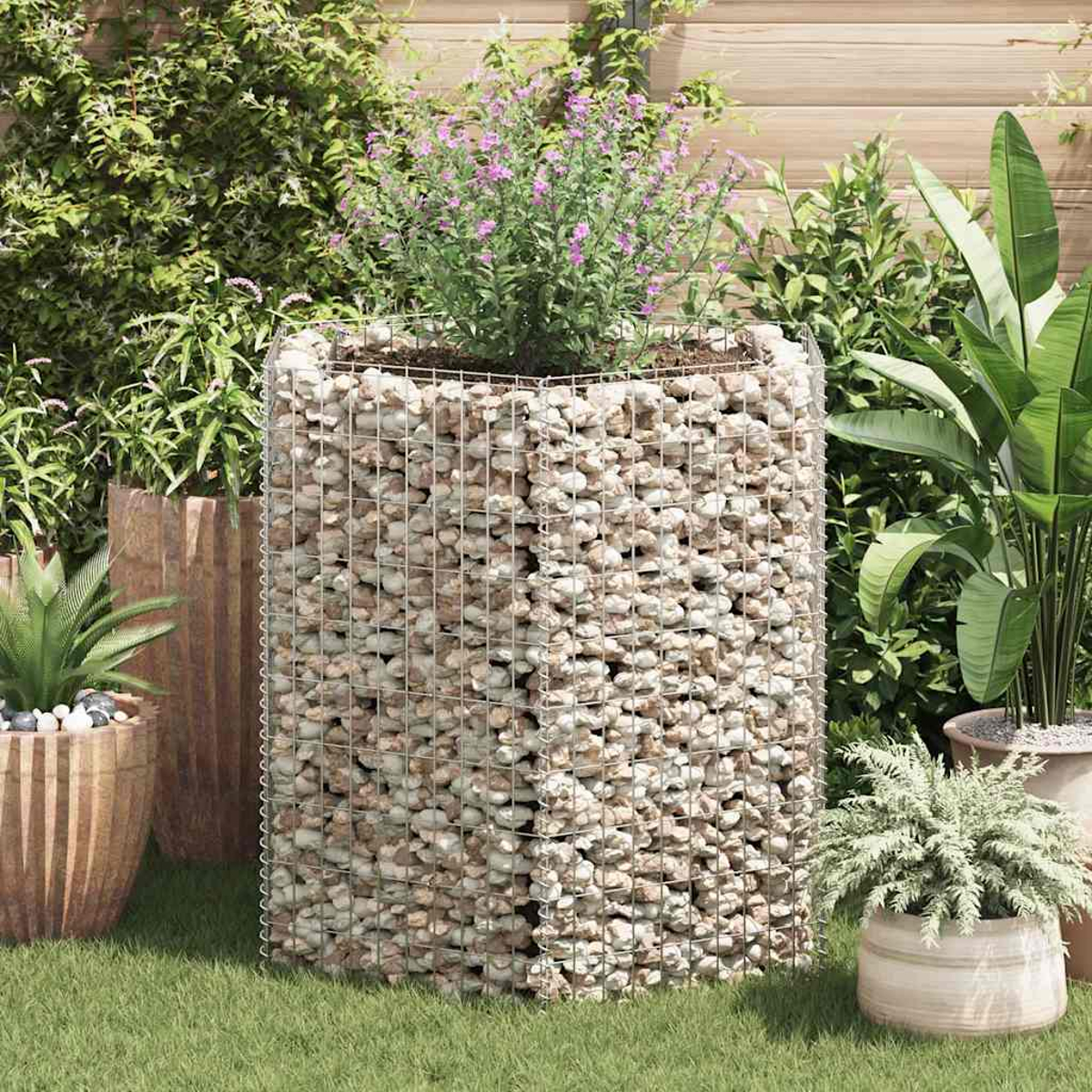Ein rechteckiger Gabionen-Pflanzer mit Steinen gefüllt, der eine Pflanze mit lila Blüten hält. Weitere Pflanzen und Töpfe sind im Hintergrund.
