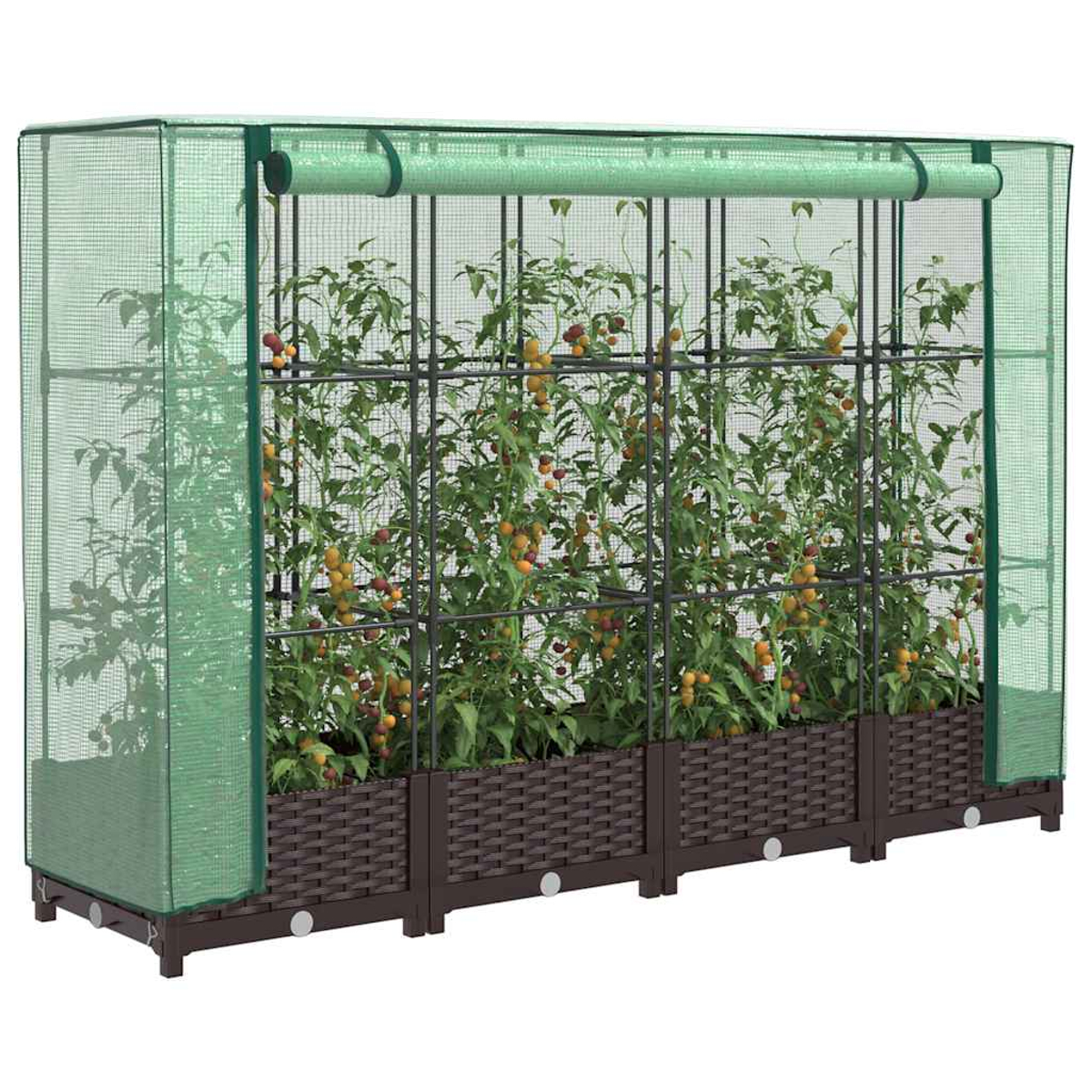 Una piccola serra con piante di pomodori all'interno. Ha una copertura a rete verde e una base intrecciata marrone scuro.