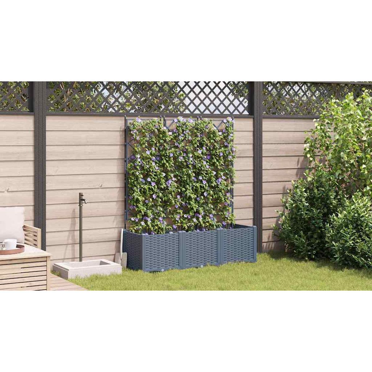 Gartenszene mit Kletterpflanzen an einem Spalier. Graue Pflanzkästen, ein Holzzaun und grünes Gras ergänzen die Szene.