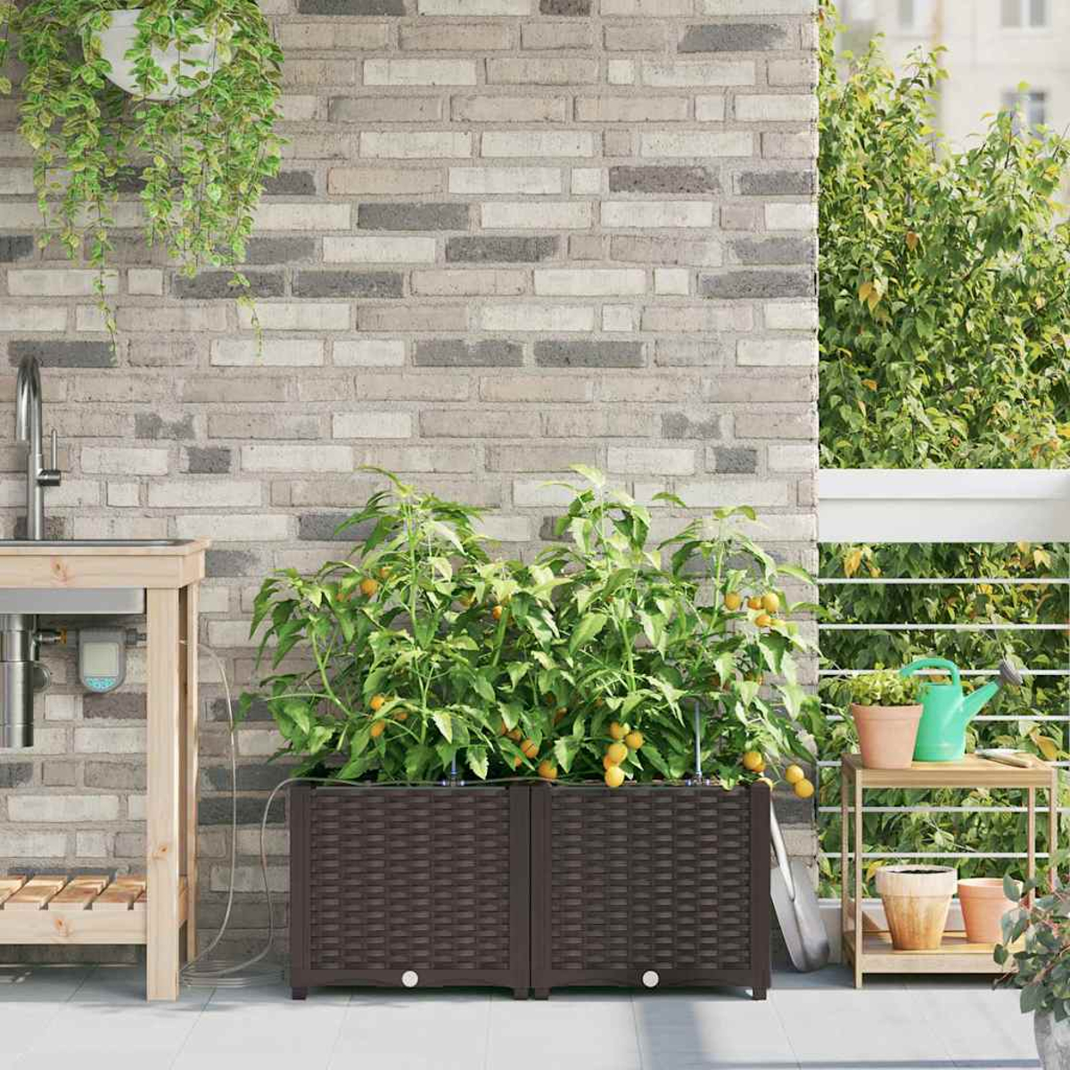 Giardino sul balcone con fioriere marroni piene di piante di pomodori. Sfondo in muratura, tavolo in legno e piante verdi sono presenti.