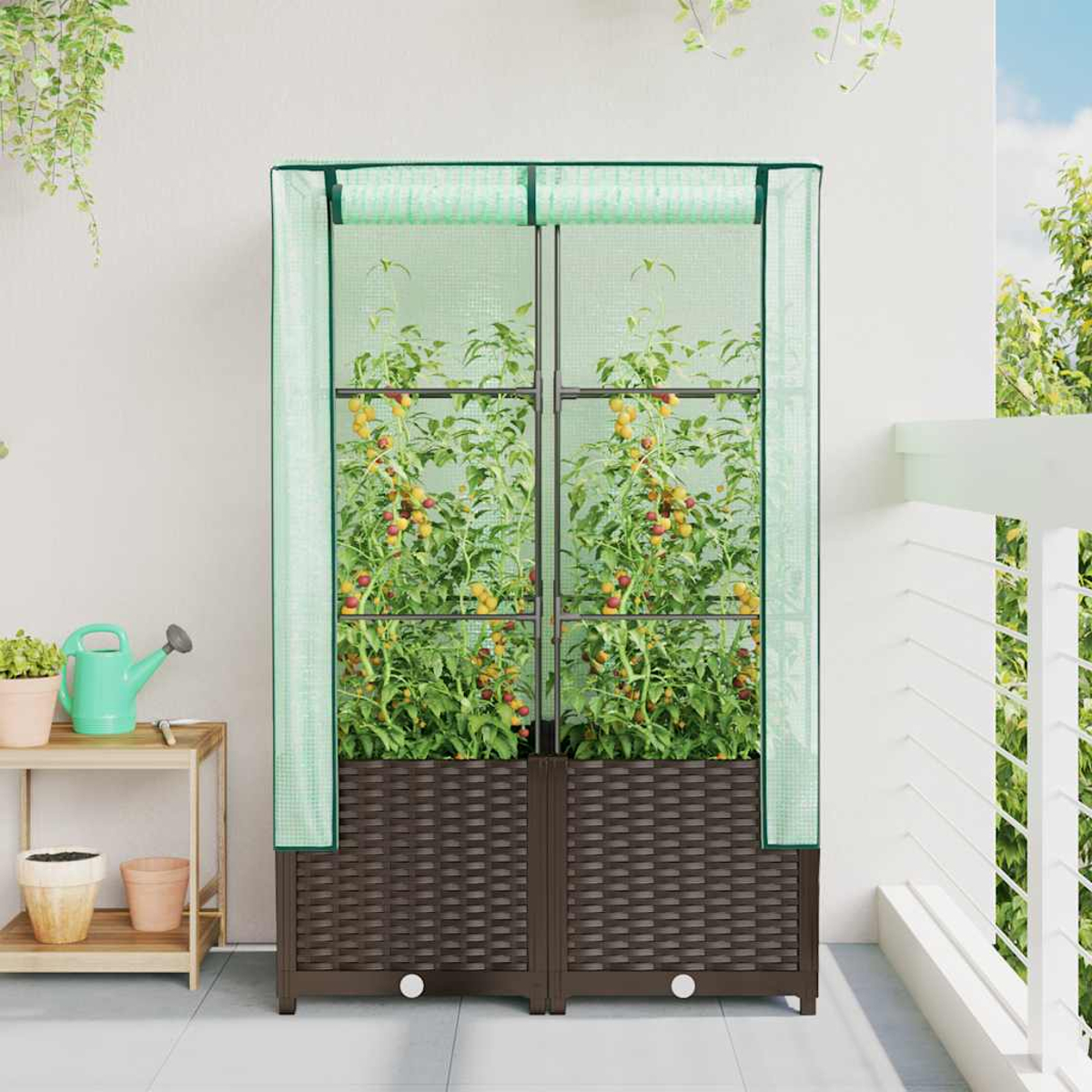 Una piccola serra su un balcone. All'interno, crescono piante di pomodori. La struttura è marrone con una copertura verde. Altre piante sono sul lato.