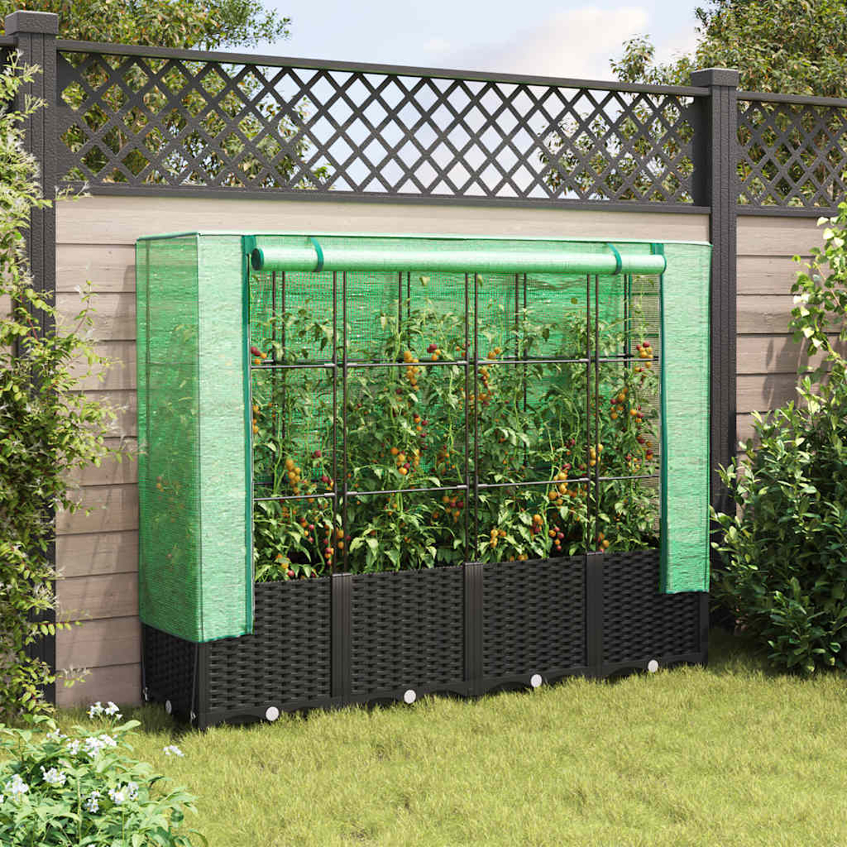 Un'aiuola rialzata con piante di pomodoro è protetta da una copertura a rete verde. Una recinzione di legno è dietro il giardino.
