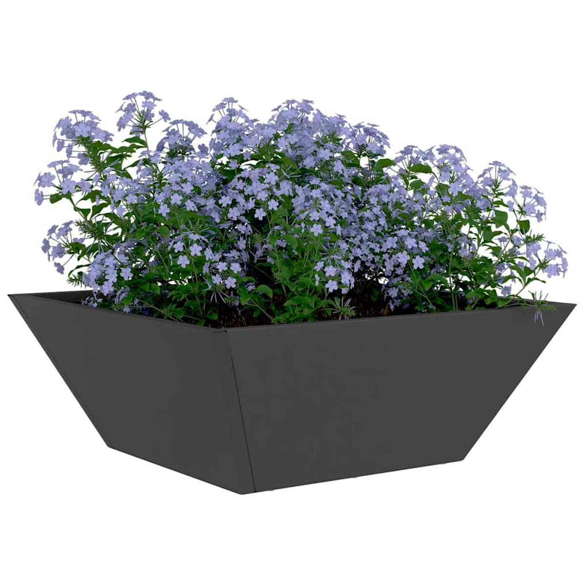 Una fioriera nera trapezoidale piena di piante verdi e grappoli di piccoli fiori viola chiaro. Lo sfondo è bianco.