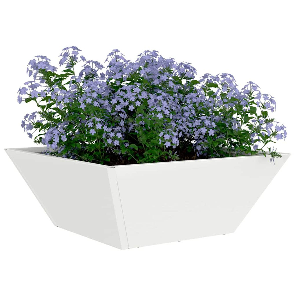 Una fioriera bianca e angolare riempita di fiori blu e fogliame verde. Lo sfondo è bianco.