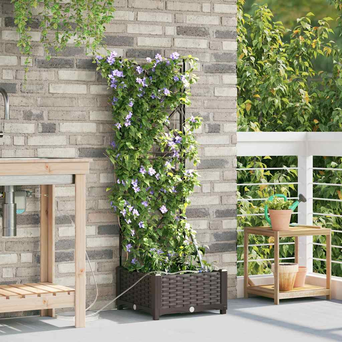 Eine Backsteinmauer trägt eine Kletterpflanze mit lila Blüten. Auf der rechten Seite steht ein Holztisch mit Pflanzen und einer Gießkanne.