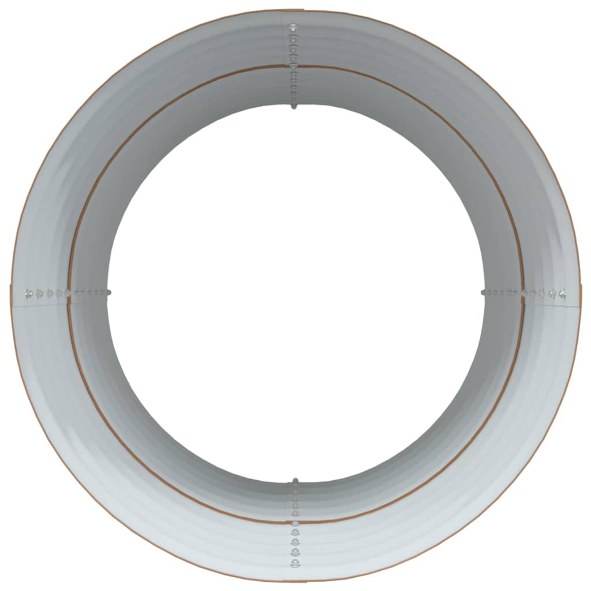 Una struttura ad anello renderizzata in 3D. L'anello è grigio chiaro con una sottile linea interna ed esterna marrone. Ci sono piccoli elementi argentati.