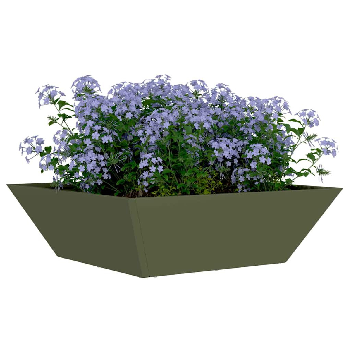 Una fioriera quadrata verde oliva piena di fiori blu. I fiori sono in piena fioritura e vibranti su sfondo bianco.