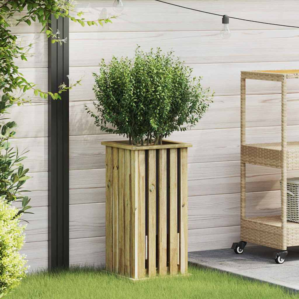 Una fioriera in legno con un cespuglio verde è sull'erba. Sullo sfondo c'è un muro di legno colorato chiaro.