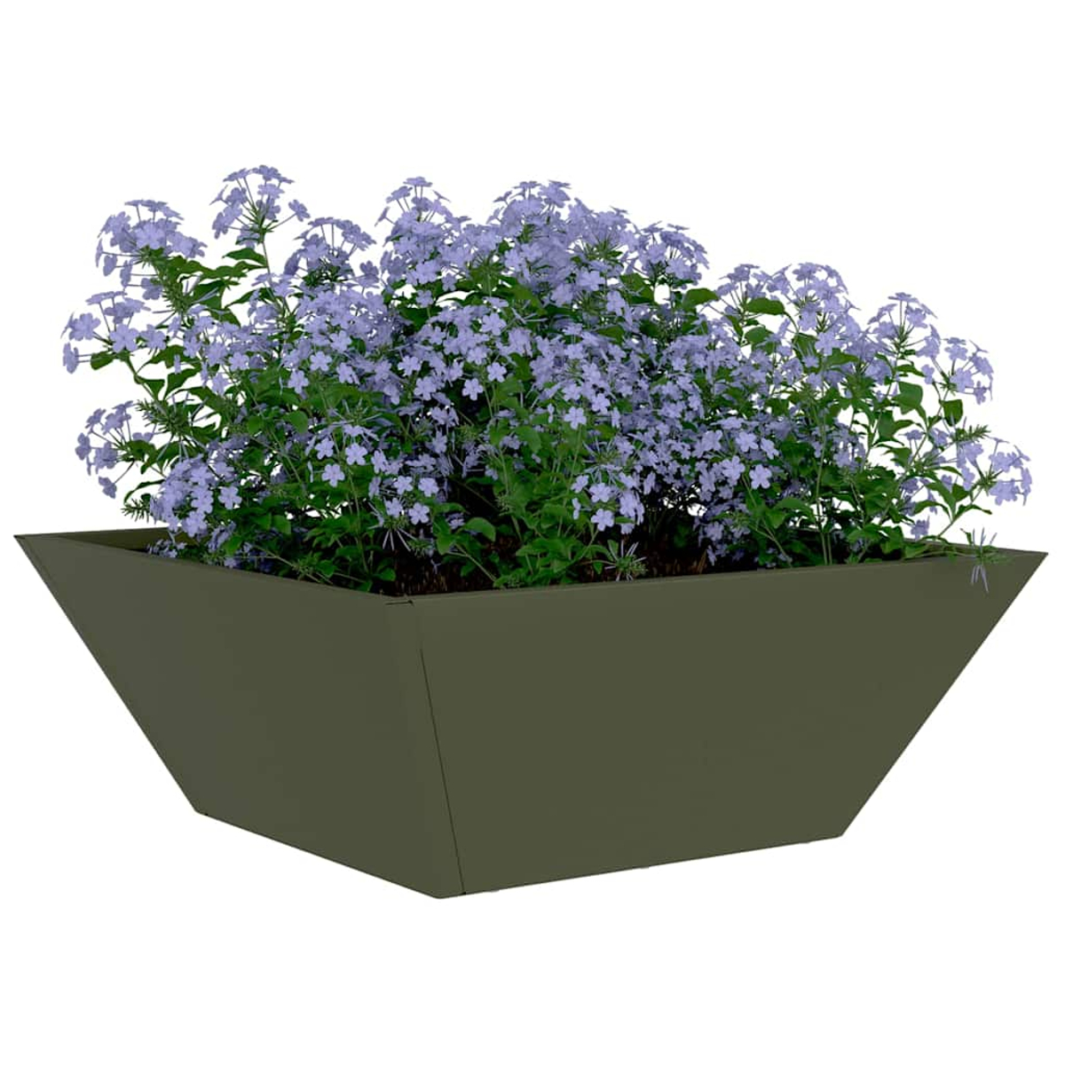 Una fioriera quadrata verde oliva contiene fiori viola con foglie verdi. La fioriera è appoggiata su uno sfondo bianco, angolata verso l'osservatore.