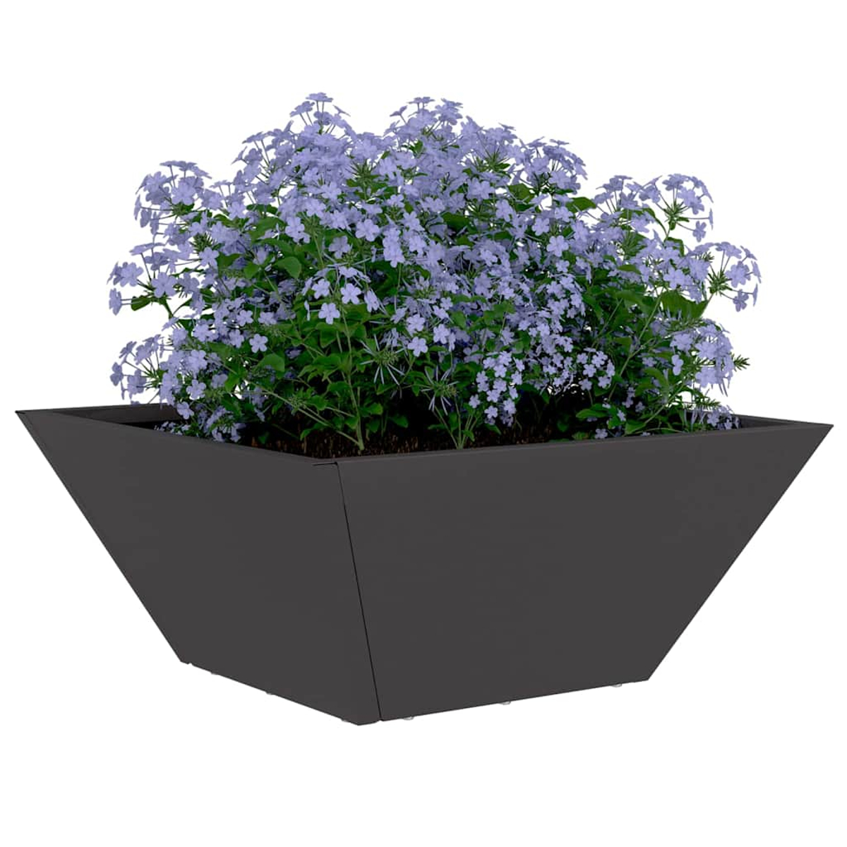 Una fioriera quadrata grigio scuro piena di fiori blu vibranti e foglie verdi. Lo sfondo è bianco.