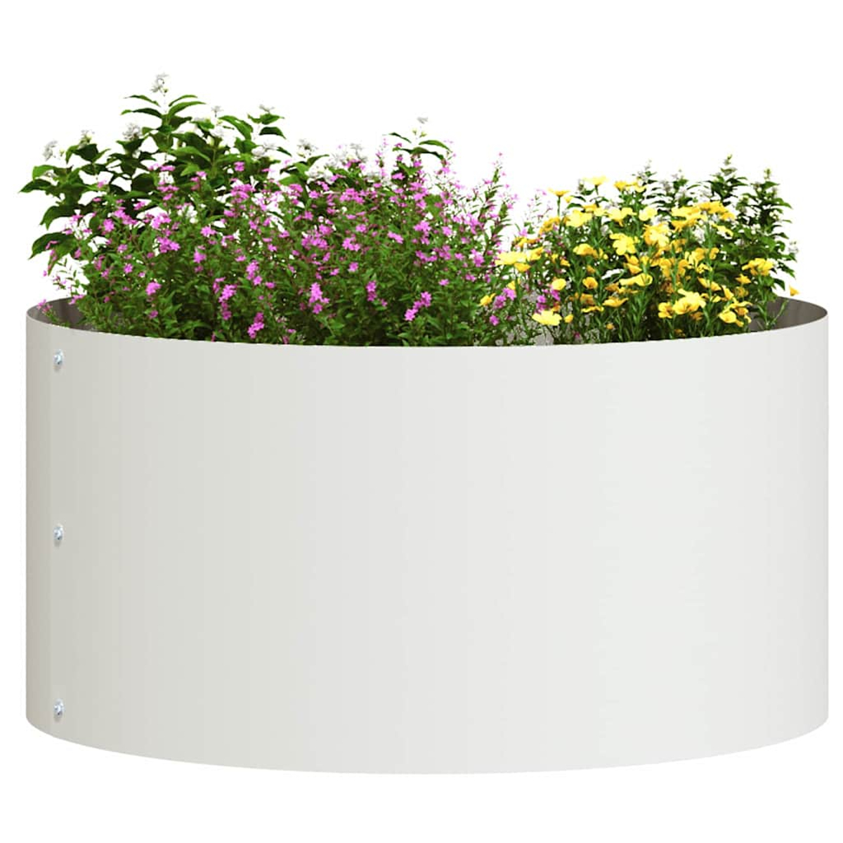 Una fioriera bianca e circolare piena di fiori diversi. Sono visibili fiori rosa, gialli e bianchi, su sfondo bianco.