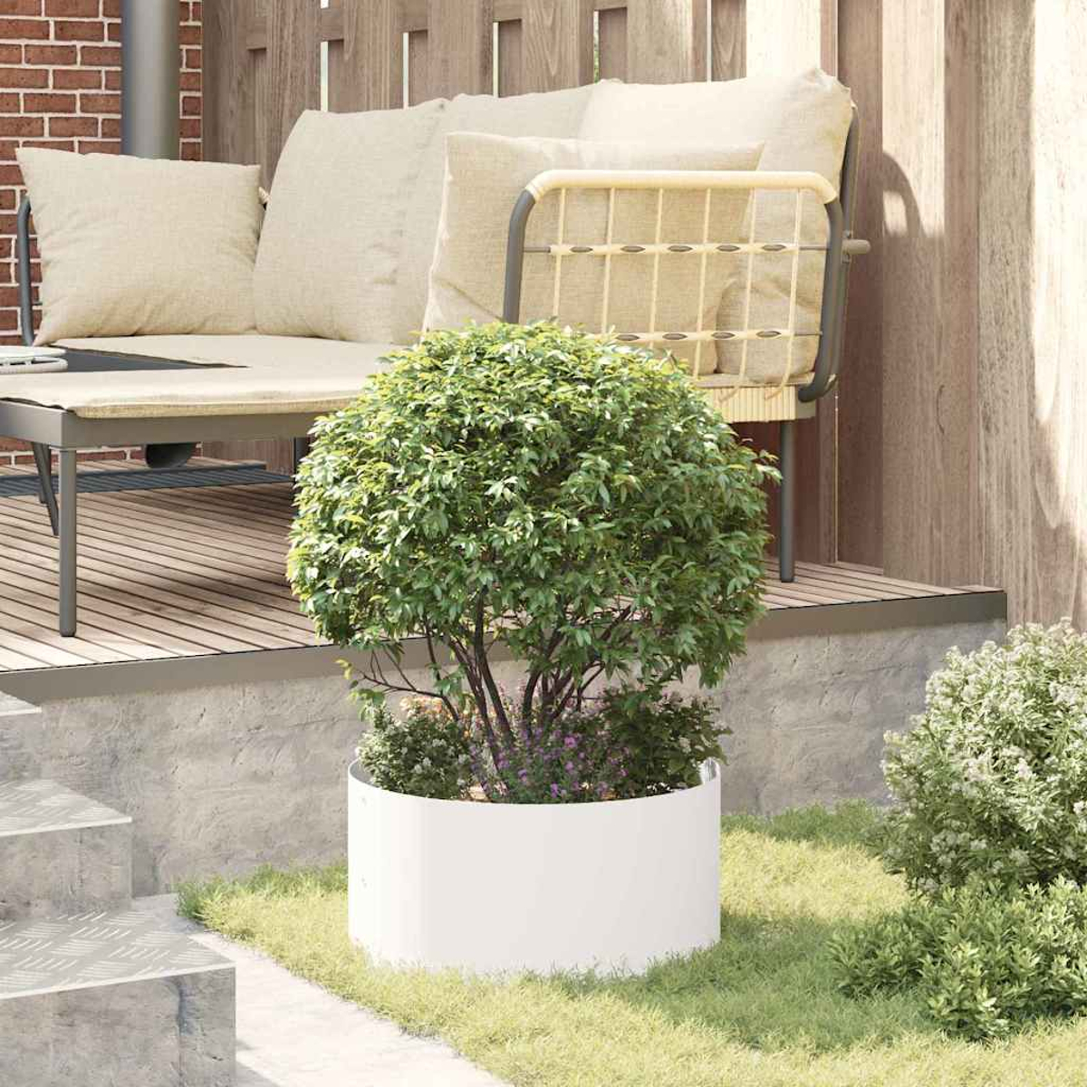 Un piccolo albero in una fioriera bianca sull'erba. Un salotto da giardino con cuscini beige sullo sfondo. Staccionata in legno.