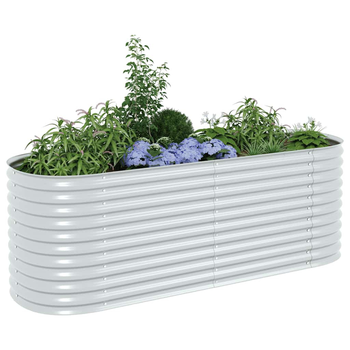 Eine rechteckige Pflanzkiste aus verzinktem Stahl, gefüllt mit grünen Pflanzen und blauen Blumen. Weißer Hintergrund.
