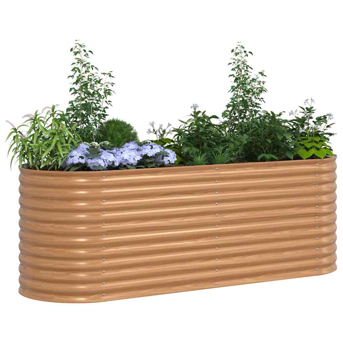Eine lange, braune, gewellte Metallpflanzkasten, gefüllt mit verschiedenen grünen Pflanzen und blauen Blumen, vor weißem Hintergrund.