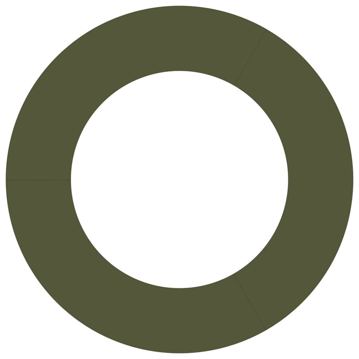 Un anello verde oliva scuro con un cerchio bianco al centro. L'anello è diviso in quattro segmenti.