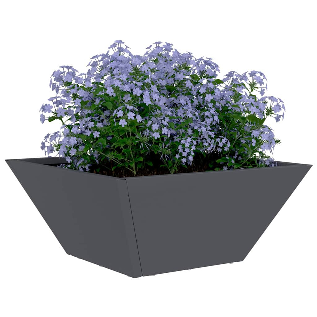 Una fioriera quadrata grigio scuro piena di fogliame verde e fiori viola chiaro, su sfondo bianco.