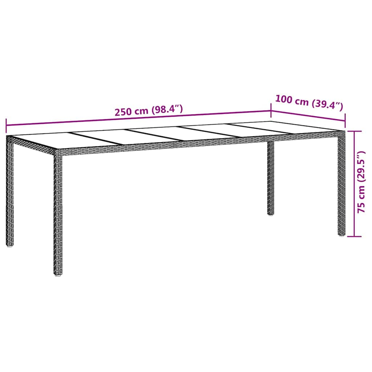 Una mesa rectangular con dimensiones etiquetadas. La mesa mide 250 cm de largo, 100 cm de ancho y 75 cm de alto, con diseño tejido.