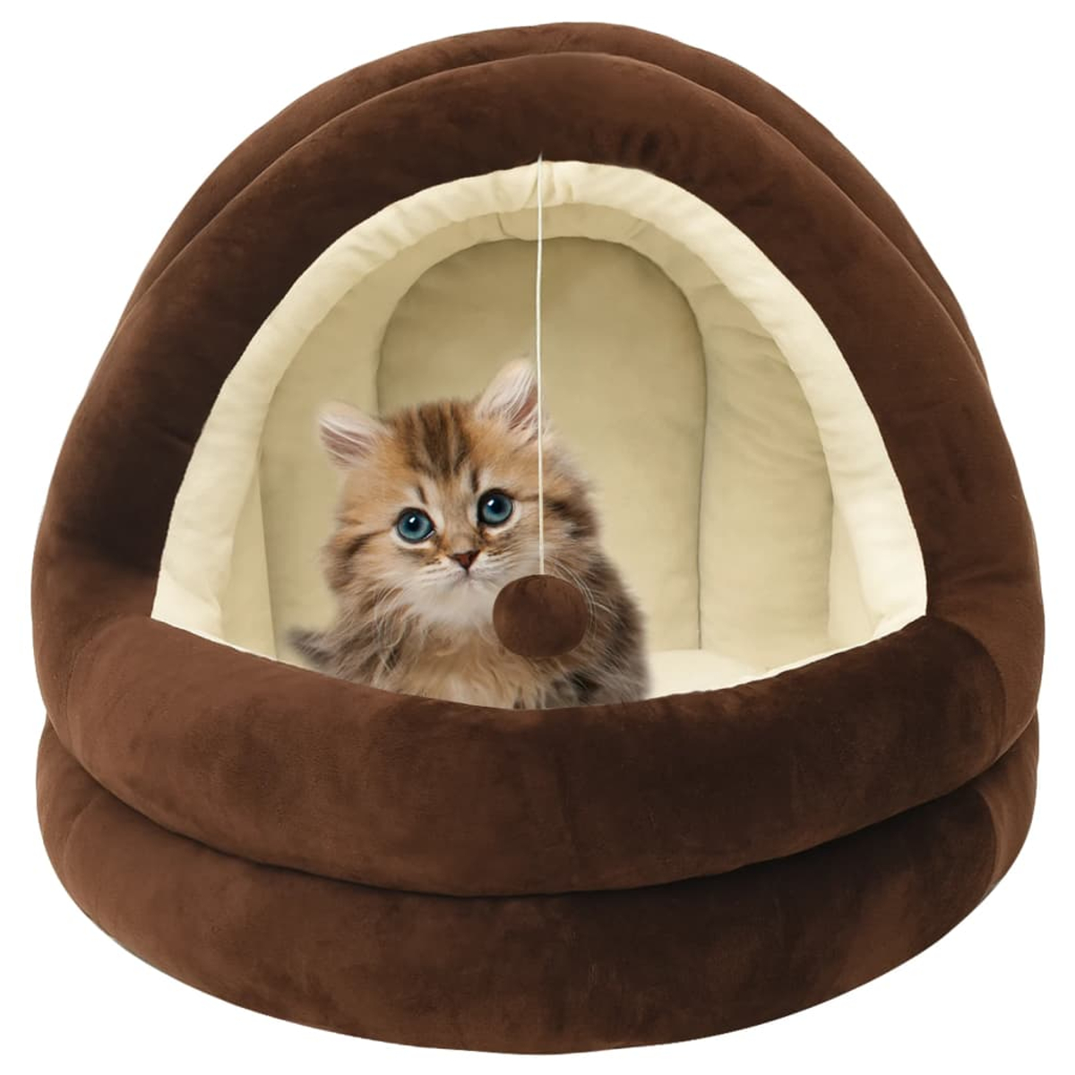 Ein flauschiges Kätzchen mit blauen Augen sitzt in einem braunen Katzenbett. Ein kleiner Ball hängt davor. Das Bett hat einen cremefarbenen Innenraum.