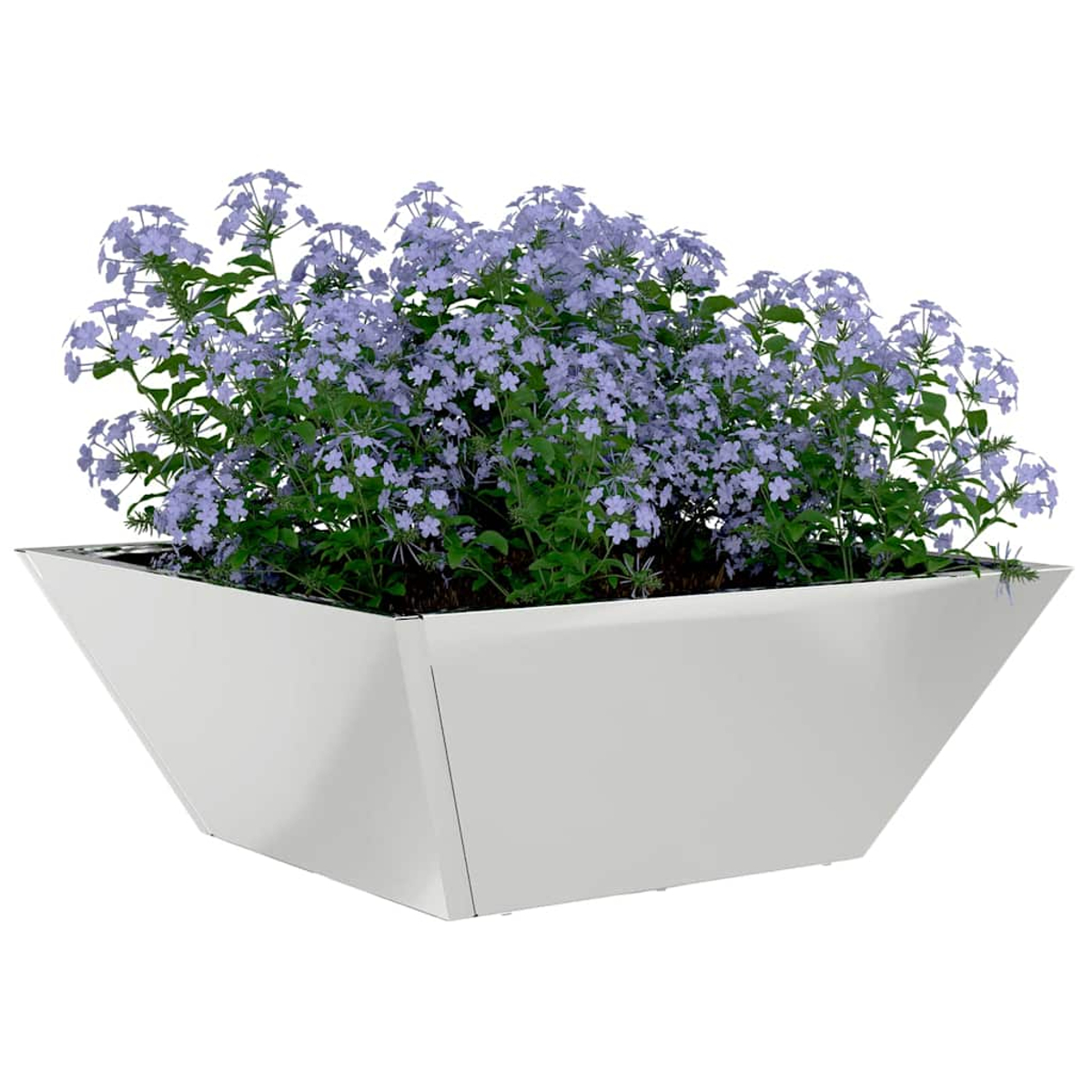 Ein weißer, eckiger Pflanzkübel mit blauen Blumen. Der Pflanzkübel ist mit grünem Laub und lavendelblauen Blüten gefüllt, vor weißem Hintergrund.