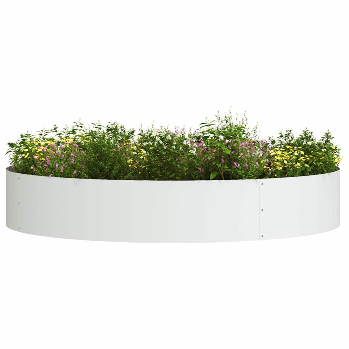 Un'aiuola bianca e curva piena di varie piante fiorite nelle tonalità del giallo, rosa e verde, su uno sfondo bianco.
