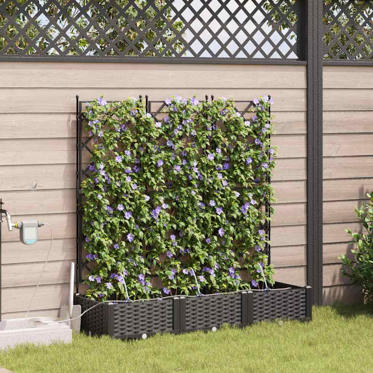 Un elemento del giardino con un traliccio ricoperto di viti fiorite. Un'aiuola scura si trova di fronte, su un prato.