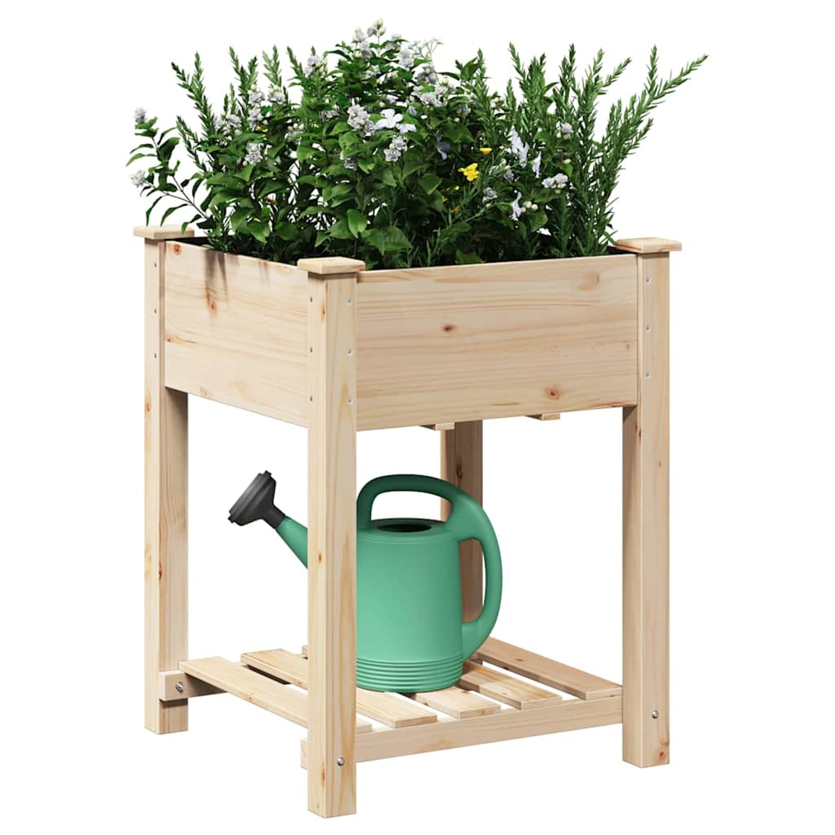 Un'aiuola in legno con piante verdi e fiori bianchi. Un annaffiatoio verde sotto. L'aiuola è su sfondo bianco.