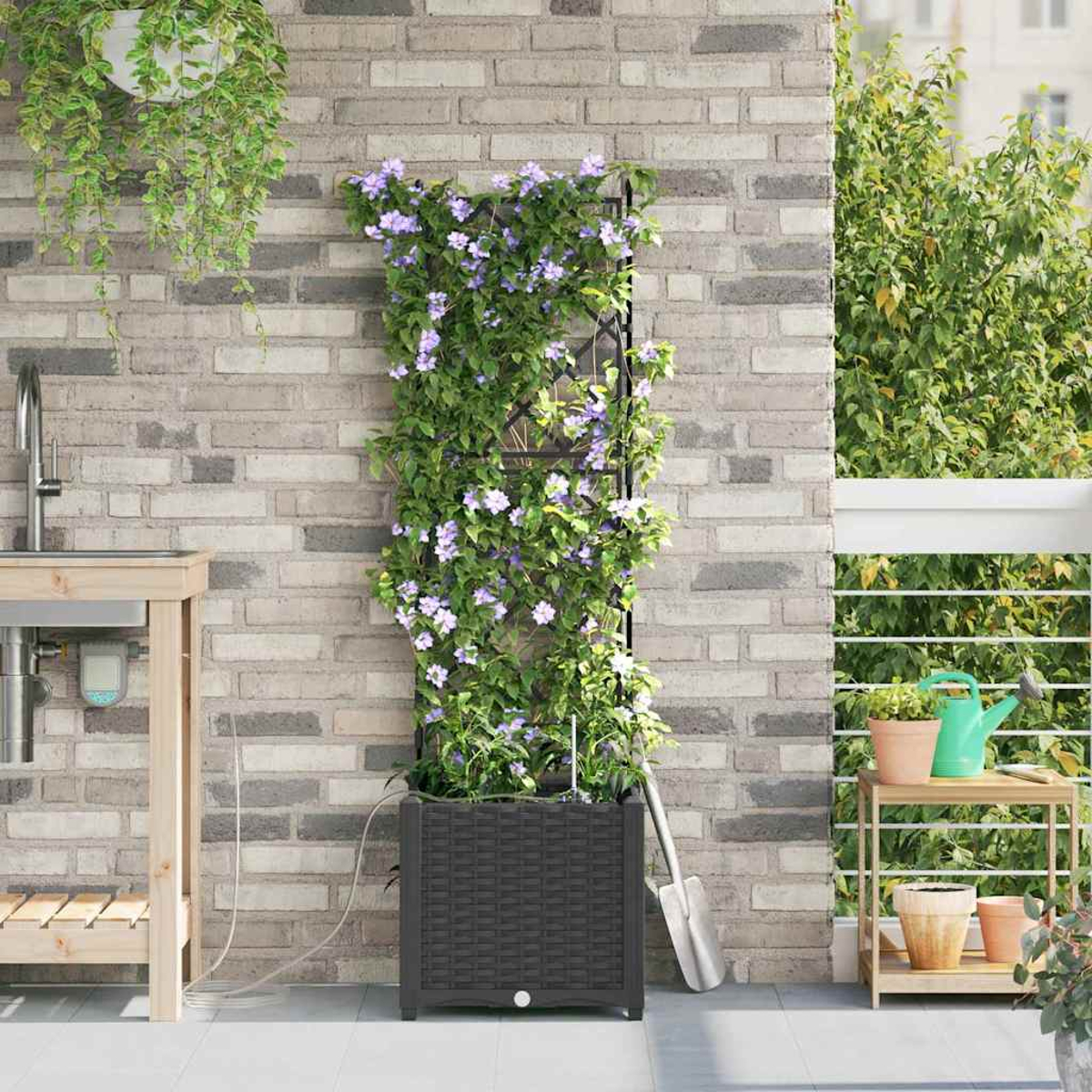 Scena di balcone con una pianta rampicante con fiori viola. Una pala è appoggiata alla fioriera. Lavello in legno a sinistra.