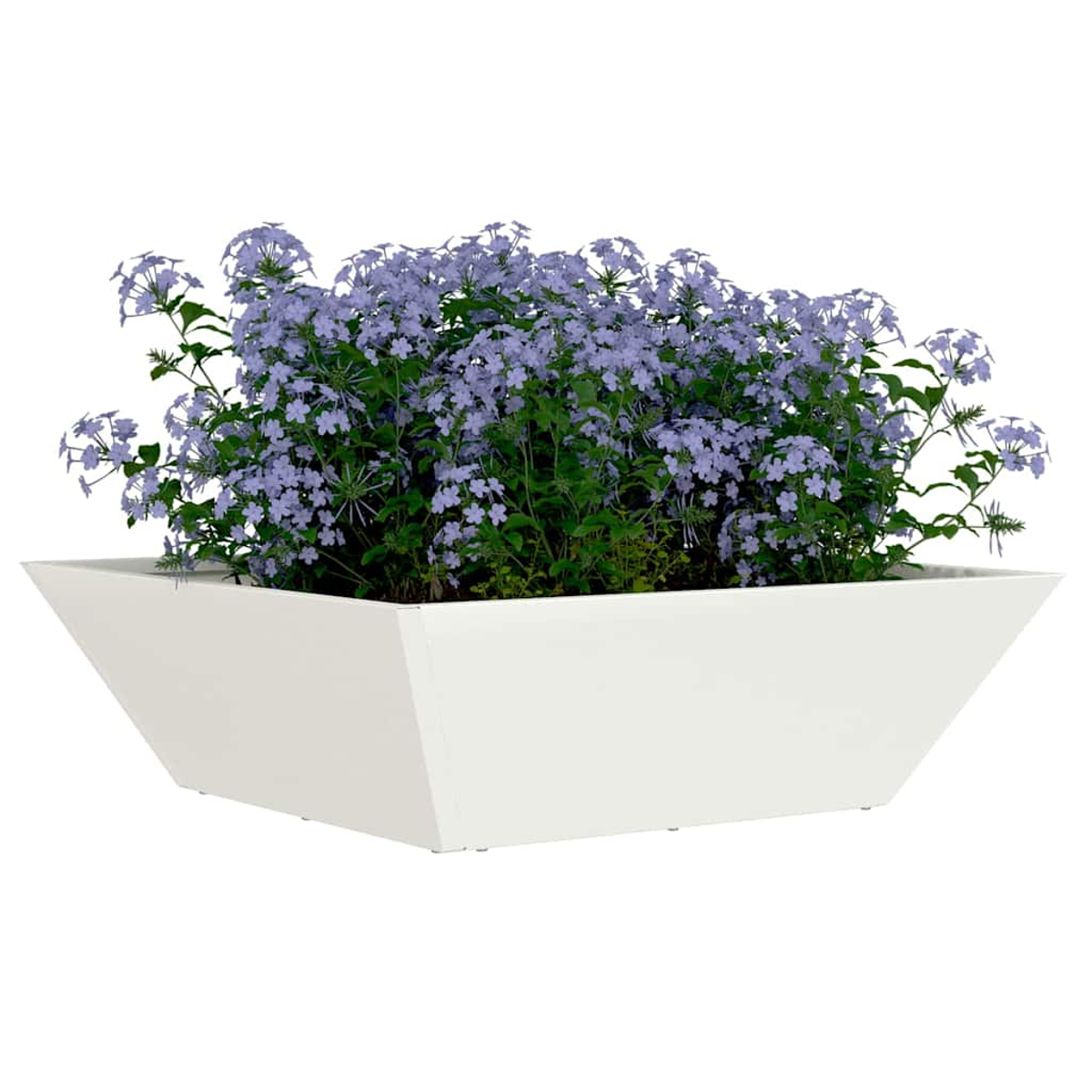 Una fioriera bianca e angolata piena di fiori blu e fogliame verde. Lo sfondo è bianco.