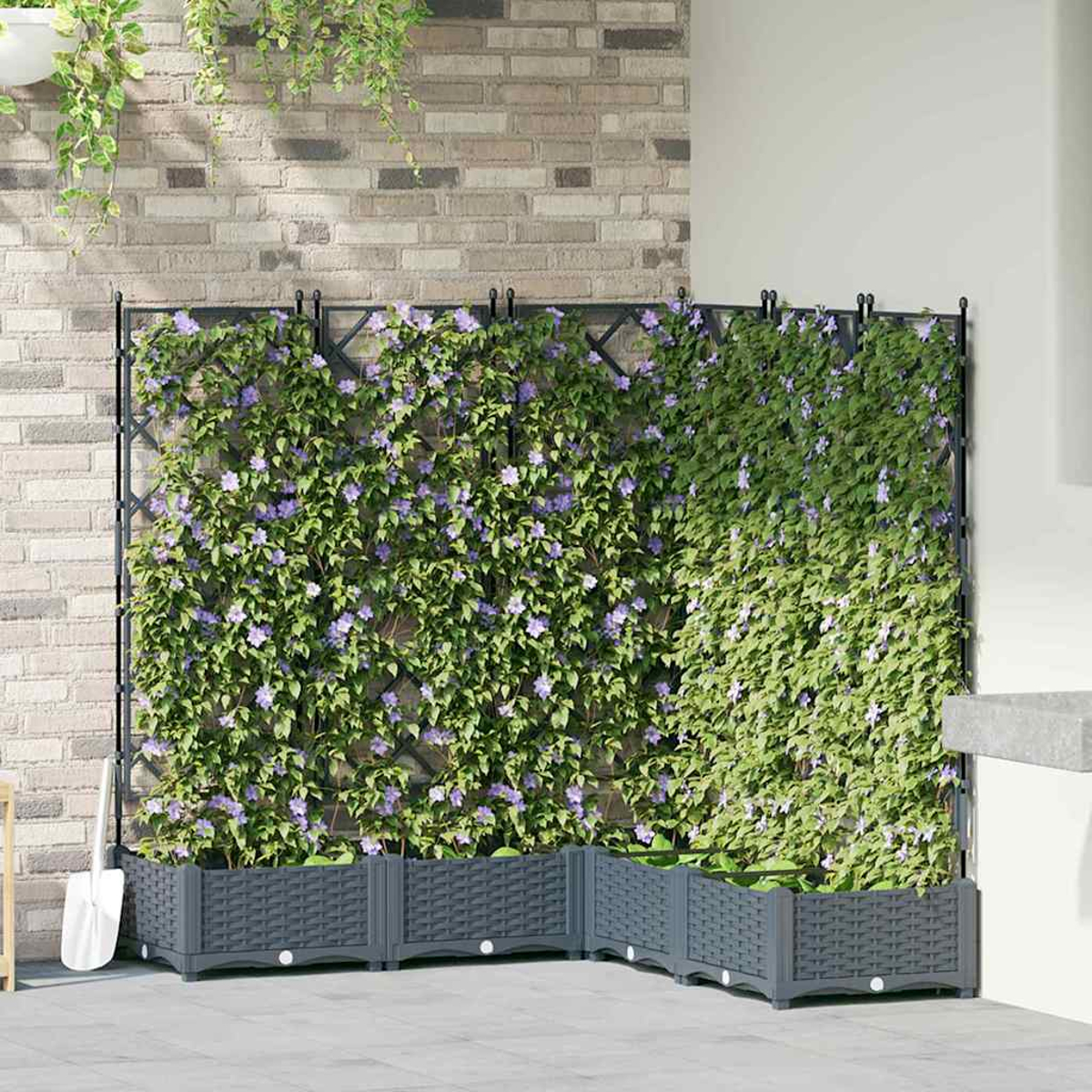 Un traliccio con piante rampicanti e fiori viola. Sotto ci sono fioriere grigie. Un muro di mattoni e un muro bianco completano la scena.