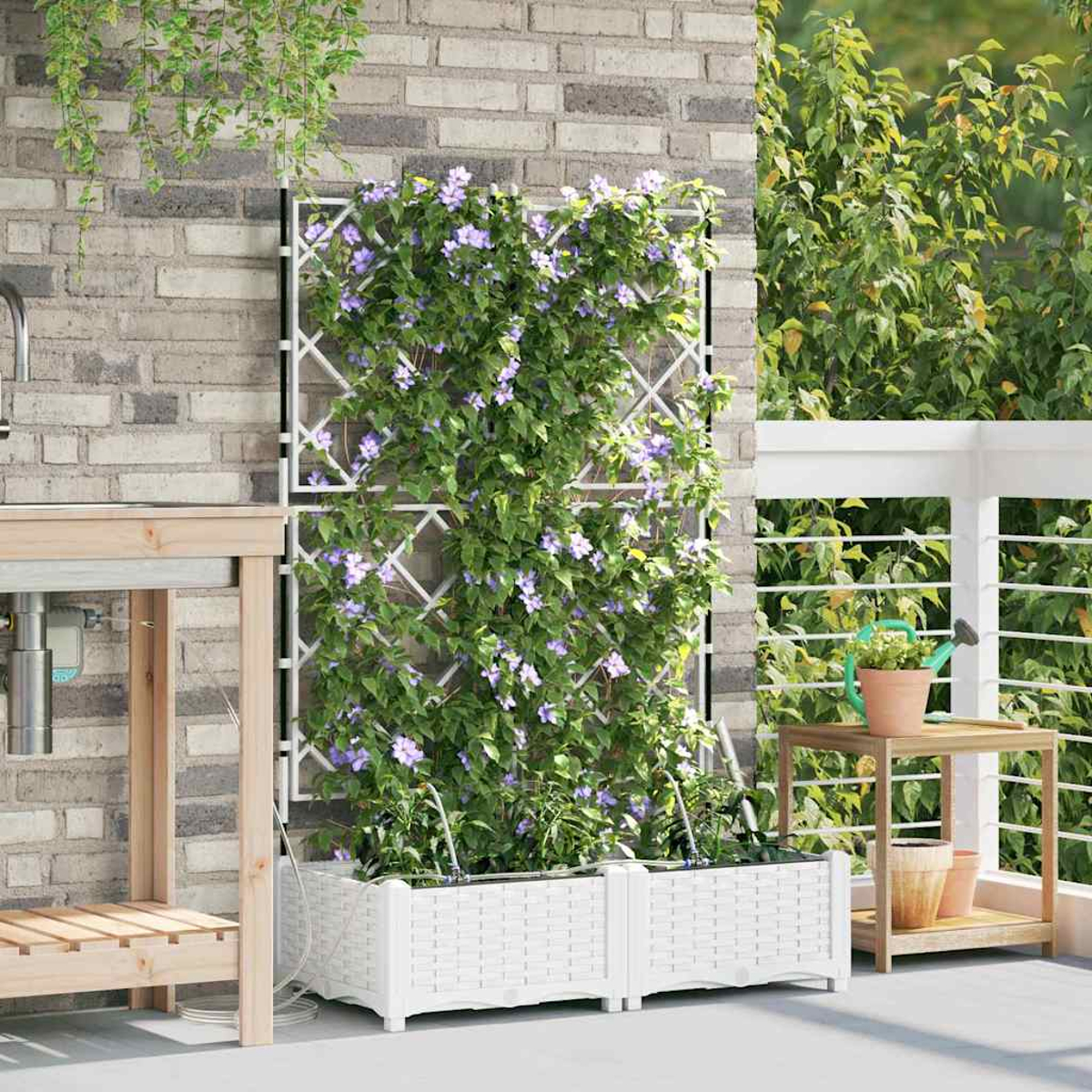 Un traliccio bianco con piante rampicanti e fiori viola è contro un muro di mattoni. Un vaso bianco è di fronte al traliccio.