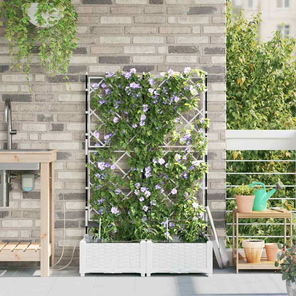 Un balcone con un traliccio coperto di fiori viola. Sotto c'è una fioriera bianca e un muro di mattoni fa da sfondo.