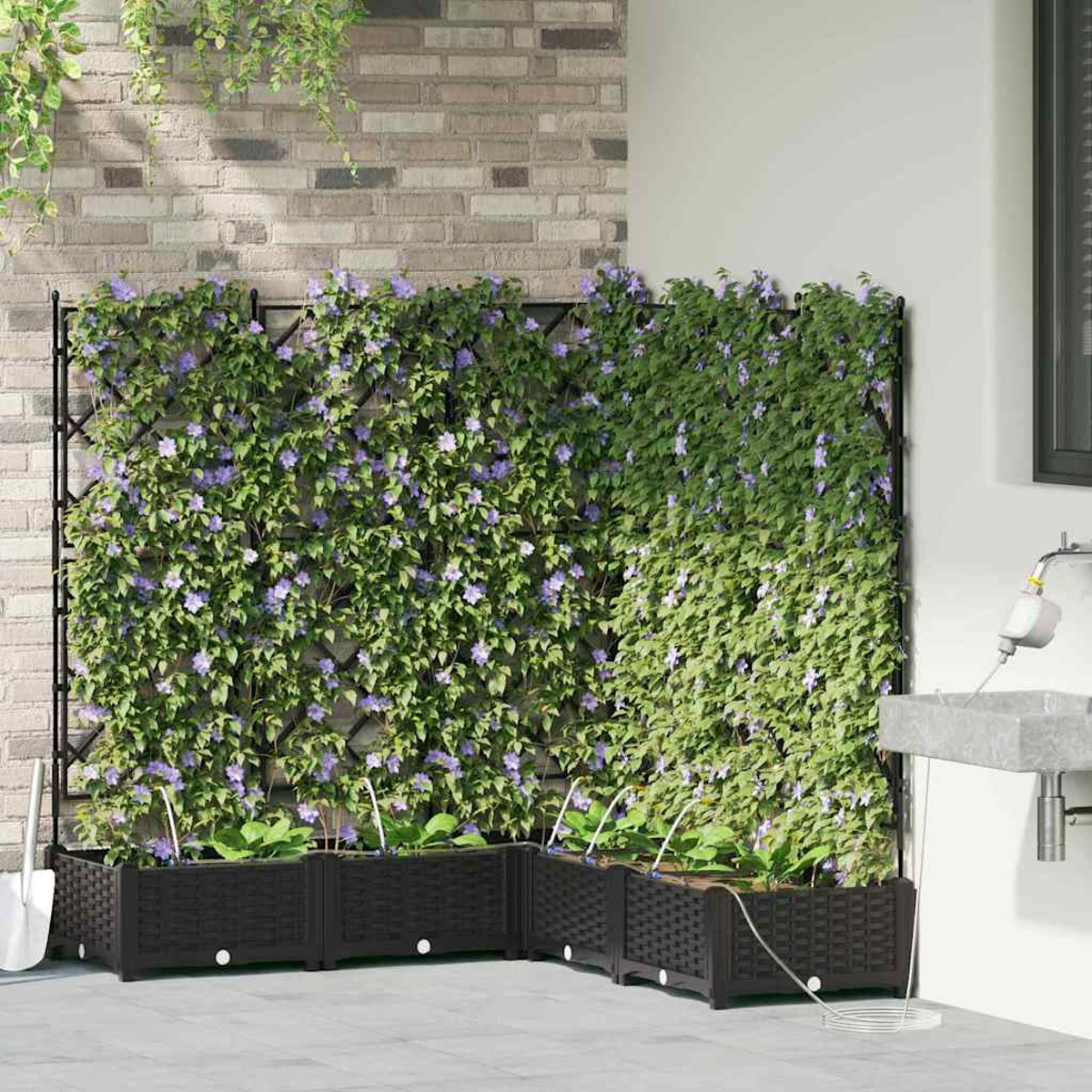 Un'aiuola con piante rampicanti e fiori viola su un traliccio nero. Le fioriere nere contengono piante con tubi per l'irrigazione.