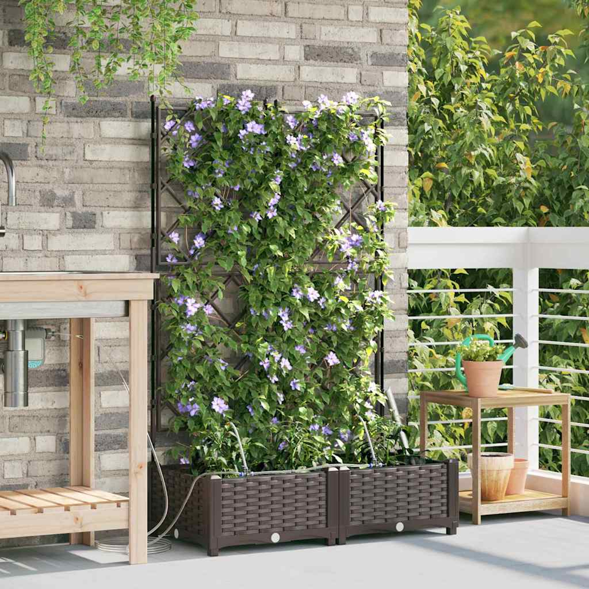 Ein Garten mit einem Spalier, das mit lila Blumen und grünen Blättern bedeckt ist. Darunter stehen zwei braune Pflanzgefäße. Ein Holztisch und eine Backsteinmauer sind sichtbar.