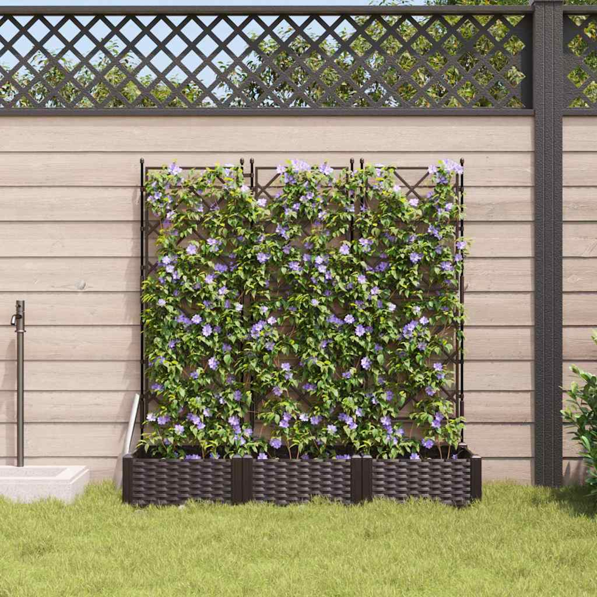Una scena di giardino con un traliccio coperto di fiori viola. Fioriere marroni alla base. Visibile una staccionata in legno ed erba verde.