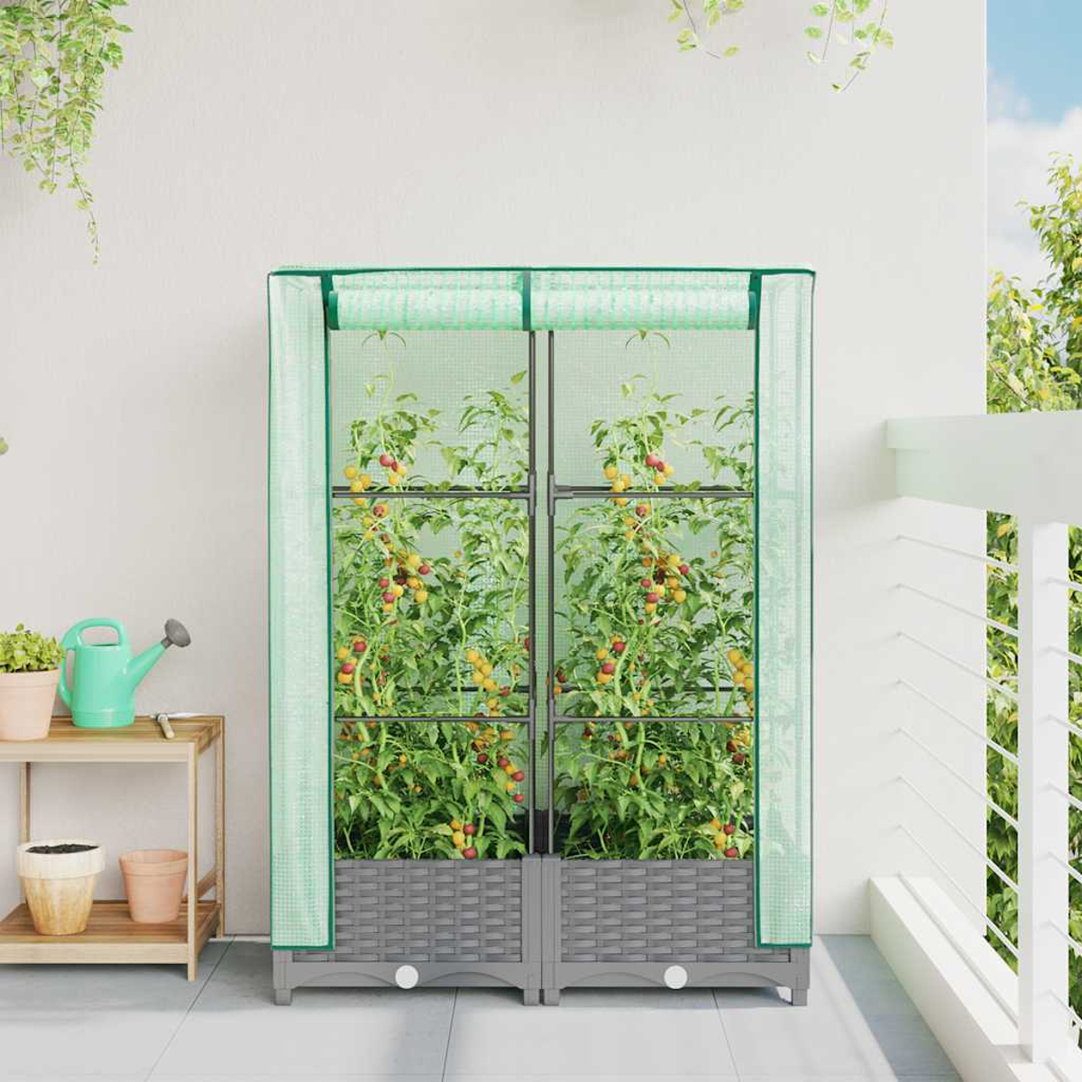 Una serra verde con piante di pomodori. A sinistra una mensola con vasi e un annaffiatoio. A destra un balcone.