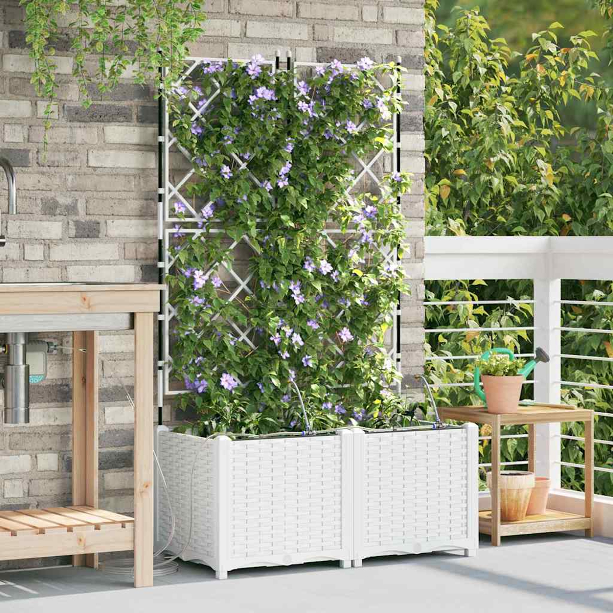 Un traliccio bianco con fiori viola e foglie verdi contro un muro di mattoni. Una fioriera bianca è di fronte al traliccio.