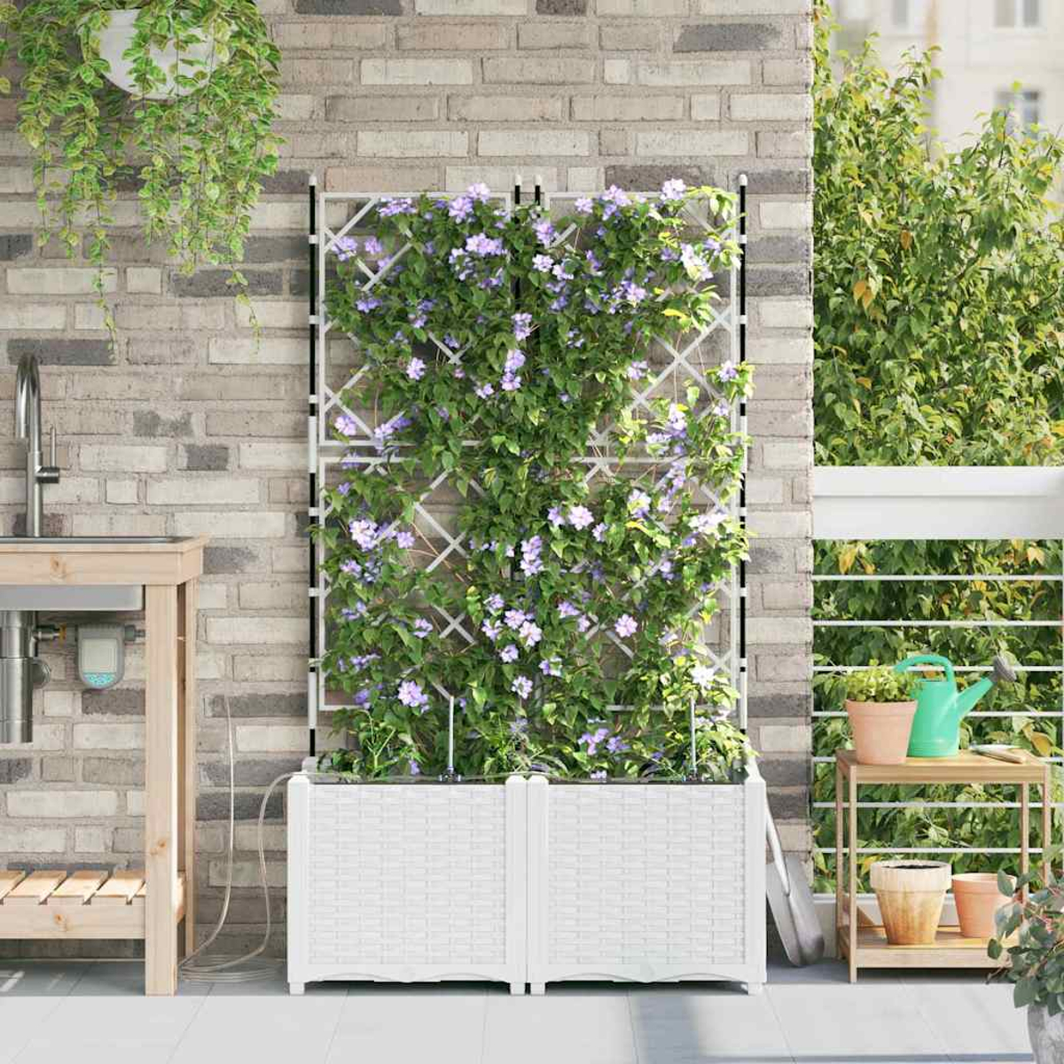 Un traliccio bianco con fiori viola. È in una fioriera bianca. C'è un tavolo di legno con un lavandino e altre piante di lato.