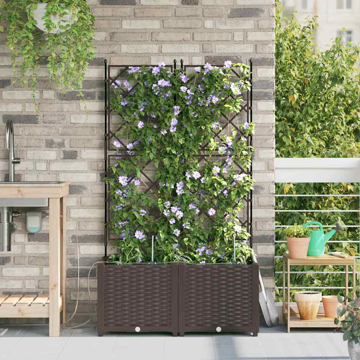 Un giardino sul balcone con un traliccio marrone coperto di fiori viola. Sotto ci sono fioriere marroni. Un muro di mattoni e vegetazione sullo sfondo.