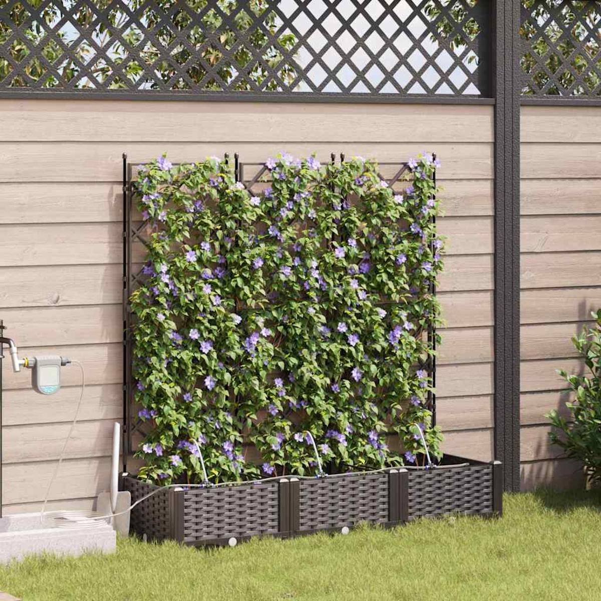 Un giardino verticale con fiori viola e foglie verdi. Si trova di fronte a un muro di legno e una recinzione grigio scuro.