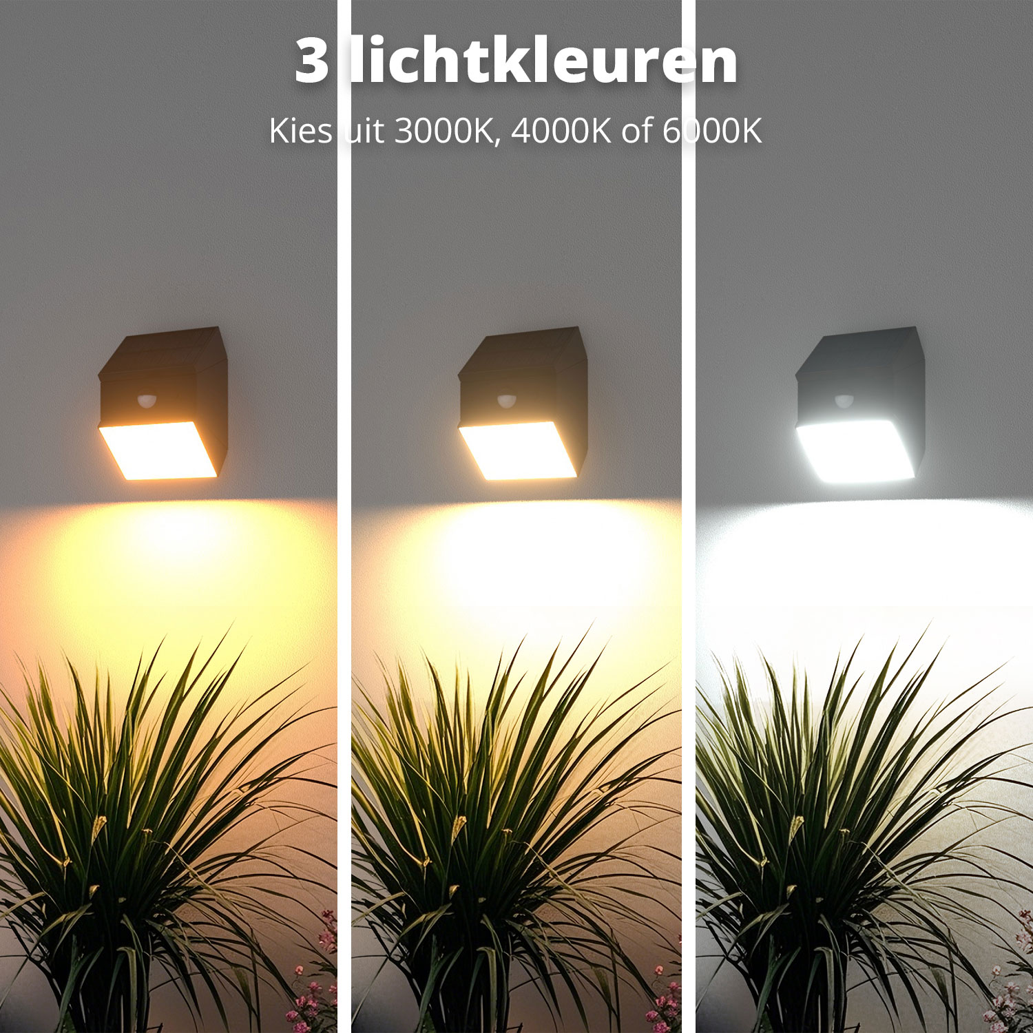 Three images showing light colors from wall-mounted lamps: warm yellow, neutral white, and cool white, with a plant in front.