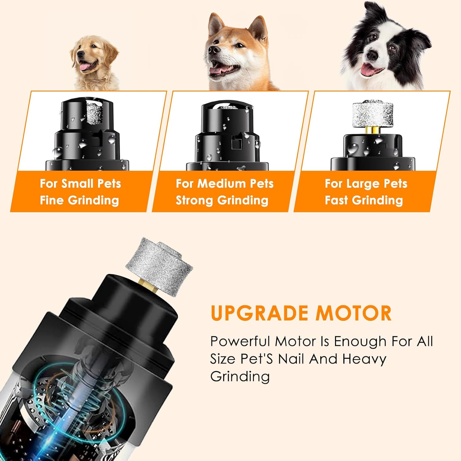 Das Bild zeigt einen Tiernagelschleifer mit drei Hunden, einem Golden Retriever, einem Shiba Inu und einem Border Collie. Text zeigt Schleifarten für verschiedene Haustiere.
