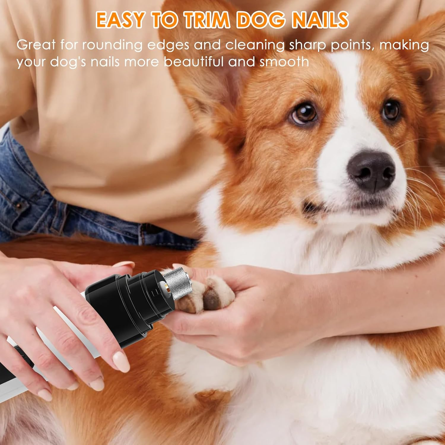 Eine Person, die die Nägel eines Hundes mit einem elektrischen Nagelknipser schneidet. Der Hund ist ein brauner und weißer Corgi.