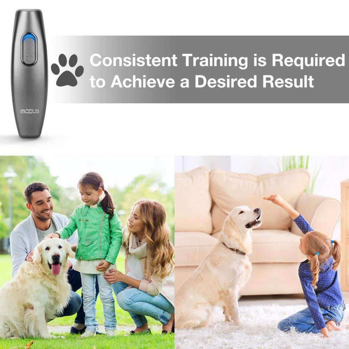 Ein Hundetrainingsgerät und eine Familie mit einem Hund. Die Familie trainiert den Hund, der Text lautet: Konsequentes Training ist erforderlich, um ein gewünschtes Ergebnis zu erzielen.