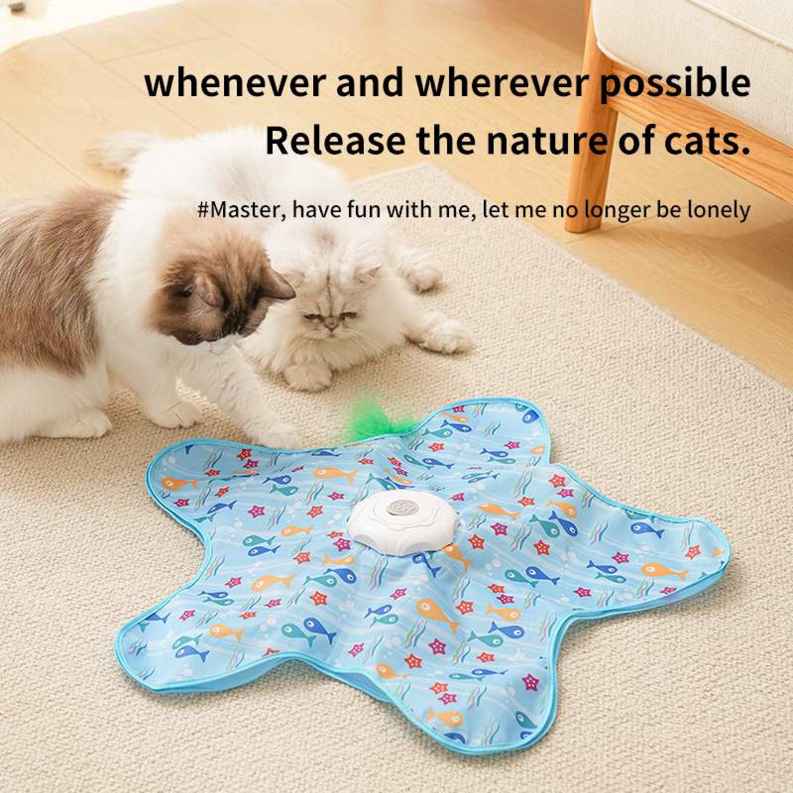 Zwei Katzen in der Nähe eines Spielzeugs. Eine braun-weiße Katze blickt eine andere weiße Katze an. Blaues Fischspielzeug.